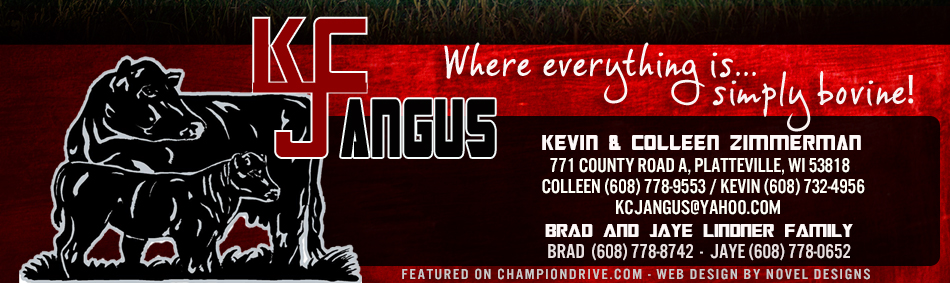 KCJ Angus